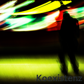 Koexistenz