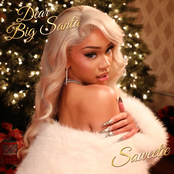 Dear Big Santa cover