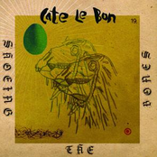Shoeing The Bones cover
