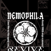 REVIVE ~It’s sooooo nice to finally meet you!!!!!~ cover