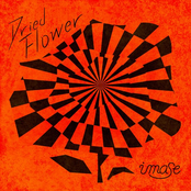 Dried Flower