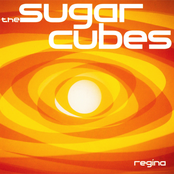 Regina cover
