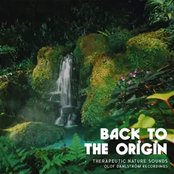 The Rainforest