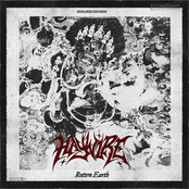 Haywire – Rotten Earth