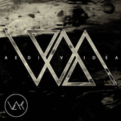 Aedividea