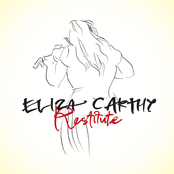 Restitute cover