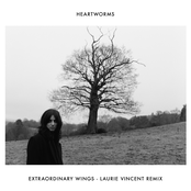 Extraordinary Wings (Laurie Vincent Remix) cover