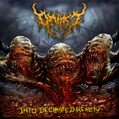Into Decimated Reality