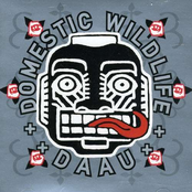 Daau