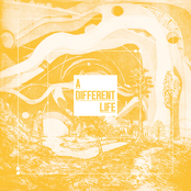 Catt – A Different Life