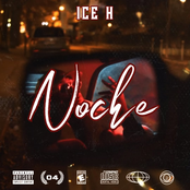 NOCHE