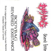 Severed Existence