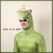 Ants In My Room