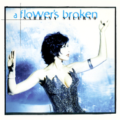 A Flower's Broken cover