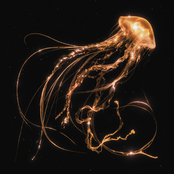 Royal Blood – Back to the Water Below