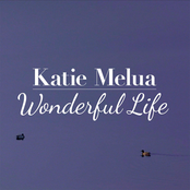 Wonderful Life cover