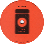 Citrus / Coburn