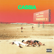 Cassia – Why You Lacking Energy?