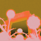 Capture/Release