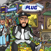 Kardo – Plug