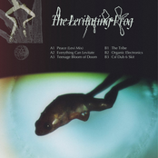 The Levitating Frog I