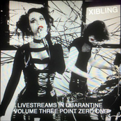 Livestreams in Quarantine Volume Three Point Zero One