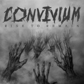 Rise To Remain
