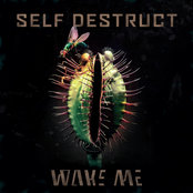 Self Destruct