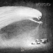 A Dark & Graceful Wilderness