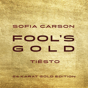 Fool's Gold (Tiësto 24 Karat Gold Edition)