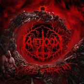 Cycle of Torment