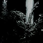 Aum