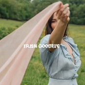 Irish Goodbye cover
