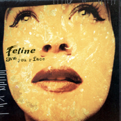 Save Your Face cover