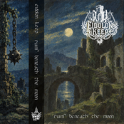 Ruins Beneath the Moon