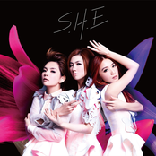 花又开好了 cover
