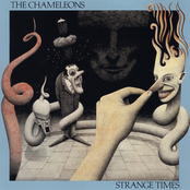 Chameleons – Strange Times