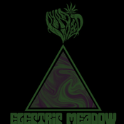 Electric Meadow