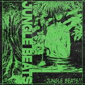 JUNGLE BEATS