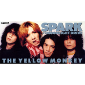 SPARK