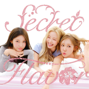Secret Flavor