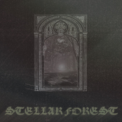 Stellar Forest