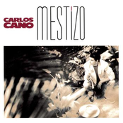 Mestizo