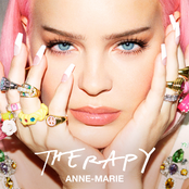 Therapy cover