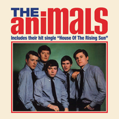 The Animals