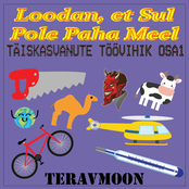 Loodan, et sul pole paha meel…