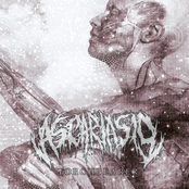 Torchbearer