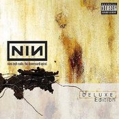 Album art for The Downward Spiral (Deluxe Edition Disk 2) by Nine Inch Nails