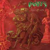 Race of Cain