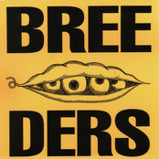 Pod Demos cover